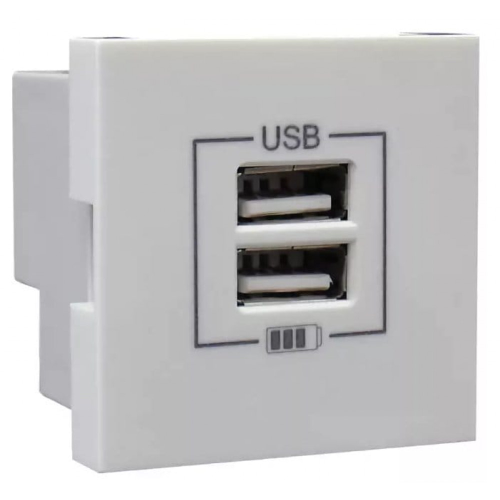 Розетка USB двойная, зарядная, белая (45439 SBR). Розетка USB двойная. Efapel