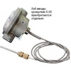 Спектрон-101-Р-Exd-Н-Modbus-ВЭ. Извещатель пожарный тепловой взрывозащищенный. Спектрон НПО