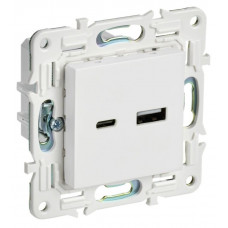 SKANDY Розетка USB A+C 18Вт SK-R13W скрытой установки арктический белый (SK-U22-018-K01). Розетка USB. IEK