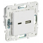 SKANDY Розетка USB A+C 3,1А SK-R14W скрытой установки арктический белый (SK-U22-D31-K01). Розетка USB. IEK