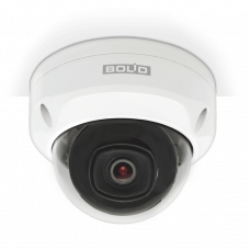 BOLID VCI-242 версия 4. Профессиональная IP-камера купольная уличная. BOLID