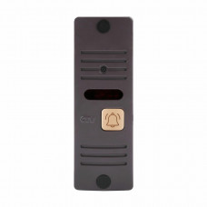 CTV-D10 Plus B (гавана). Вызывная панель цветная. CTV