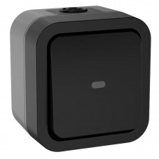 TORS Переключатель 1-клавишный с индикацией TS102 открытой установки 10А IP55 графит (TS-V10-1-10-55-K53). Переключатель одноклавишный с индикацией серии TORS. IEK