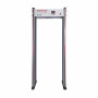 UltraScan B1000. Металлодетектор арочный. Аурикс
