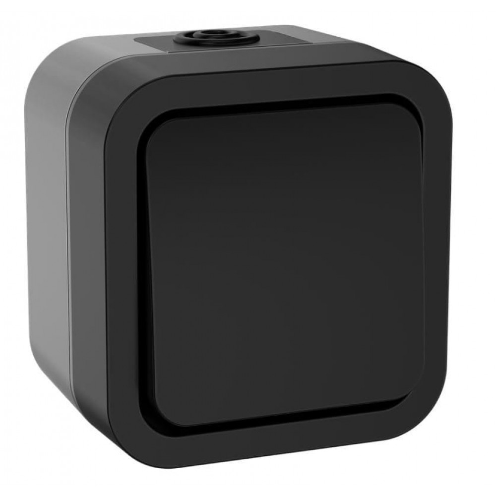 TORS Выключатель 1-клавишный двухполюсный TS111 открытой установки 10А IP55 графит (TS-V16-0-10-55-K53). Выключатель двухполюсный одноклавишный серии TORS. IEK