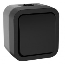 TORS Выключатель 1-клавишный двухполюсный TS111 открытой установки 10А IP55 графит (TS-V16-0-10-55-K53). Выключатель двухполюсный одноклавишный серии TORS. IEK