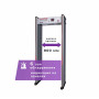 UltraScan B1000. Металлодетектор арочный. Аурикс