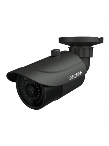 Видеокамера сетевая (IP)<br /> SVI-S322V PRO V 2.0