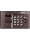 Вызывная видеопанель<br /> DP400-RDC16 (медь)